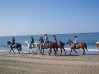 Promenades à cheval